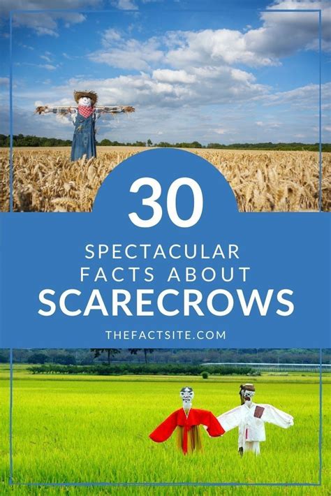 Scarecrow's Curse: Forbidden Tales of the Fields